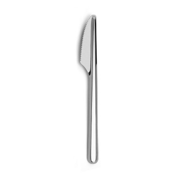 Lot de 40 couteaux LEAVES 165 mm