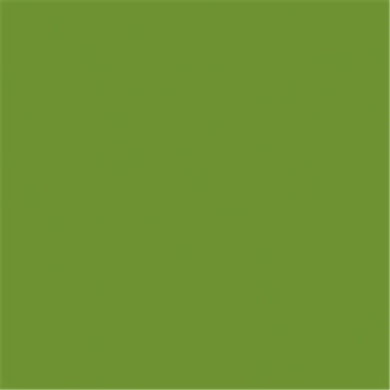 60 Serviettes Bio DUNISOFT Vert Feuille 40 x 40 cm