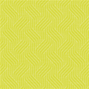 60 Serviettes DUNISOFT Eco Woven Kiwi 40 x 40 cm