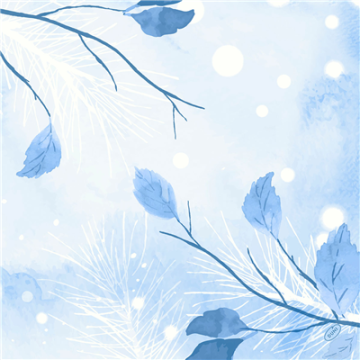 60 Serviettes DUNISOFT Frosted Winter 40x40 cm