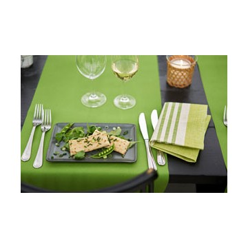 Tête-à-tête Dunicel Vert feuille 0.40x24m