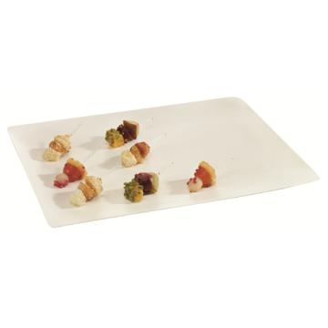 25 Plateaux Imagine 390x290 Pulpe de canne