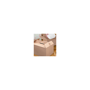 100 Boites de transport Thepack 24.5 x 13.5 x Ht 13 cm Kraft Naturel