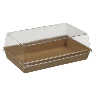 100 couvercles transparent pour assiette Quartz pulpe de canne 160x100 mm