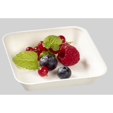 50 assiettes Kanopée 100x100x20 mm pulpe de canne blanche non laminée