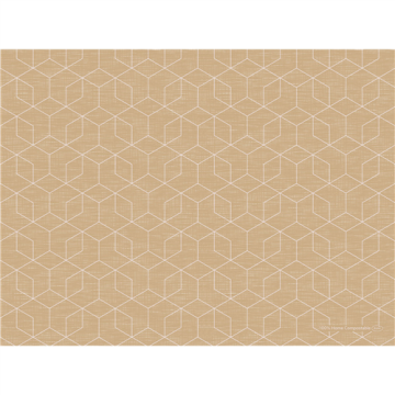 100 Sets Bio-Dunicel Graphics Eco 30 x 40 cm