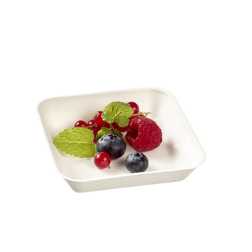 50 assiettes Kanopée 100x100x20 mm pulpe de canne blanche lamination PLA