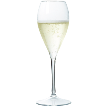 12 Flûtes Élégance réutilisables en copolyester 170 ml