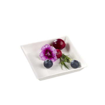 50 assiettes Quartz pulpe de canne blanche lamination PLA 90x90 mm