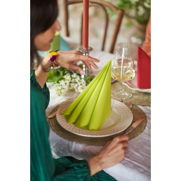 60 Serviettes Bio DUNISOFT Kiwi  40 x 40 cm