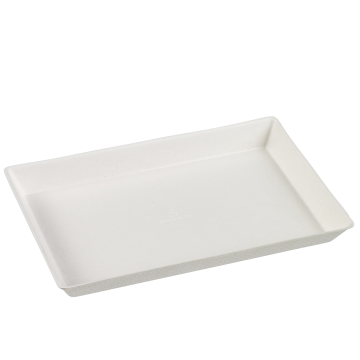 50 assiettes Quartz pulpe de canne blanche 160x100 mm