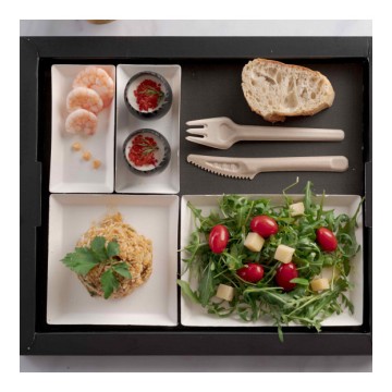 300 Kits couverts Bagasse 4/1 (Fourchette, couteau, cuillère, serviette papier)