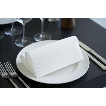 45 Serviettes DUNILIN Blanc 40 x 40 cm