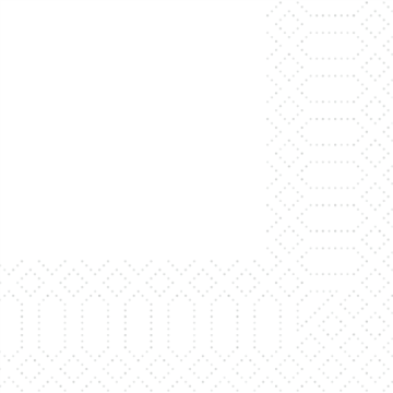 300 Serviettes ouate 2 plis Blanc 24 x 24 cm