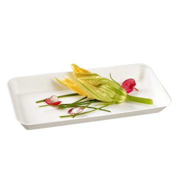 50 assiettes Kanopée 200x100x20 mm pulpe de canne blanche non laminée