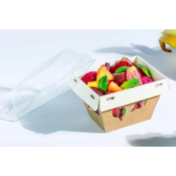 40 Boites LUXIFOOD Dessert 260 ml carton Naturel 10 x 8 cm Ht 6,10 cm