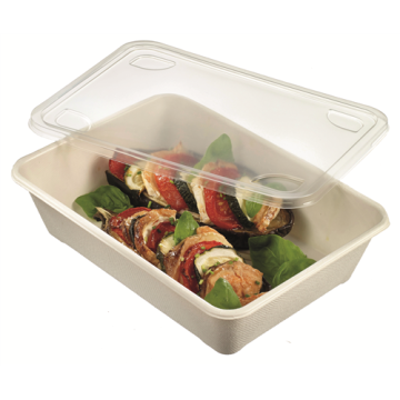 50 barquettes Quantum pulpe de canne laminée 1500 ml 232x167x55 mm