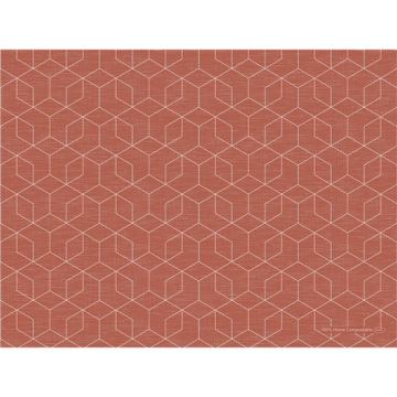 100 Sets Bio-Dunicel Graphics Earth Terra 30 x 40 cm