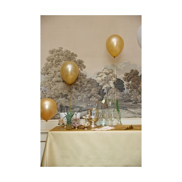 Rouleau Dunisilk + Or 1.18 x 25 mts