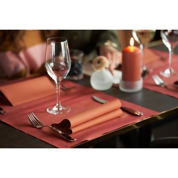 60 Serviettes Bio DUNISOFT Earth Terra 40 x 40 cm