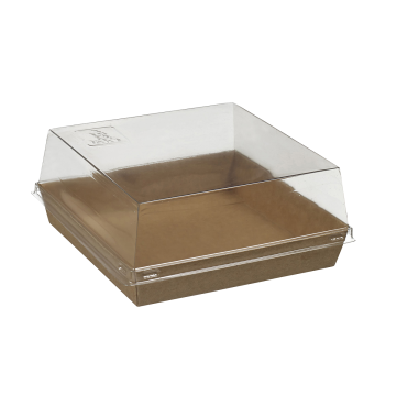 100 couvercles transparent rPET pour assiette Quartz pulpe de canne 130x130 mm