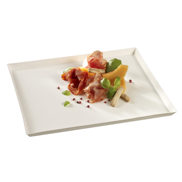 25 plateaux Quartz GN 1/2 pulpe de canne 325x265x16 mm