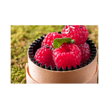 100 Boites rondes S en bois 5 cl - Ø5.3 x Ht 3.2 cm + caissettes noire + couv