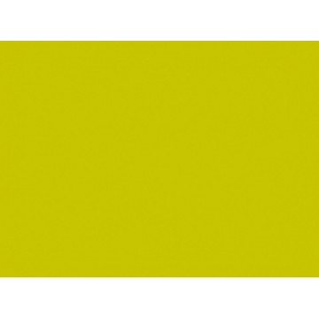 250 Sets Papier Kiwi 35 x 45 cm