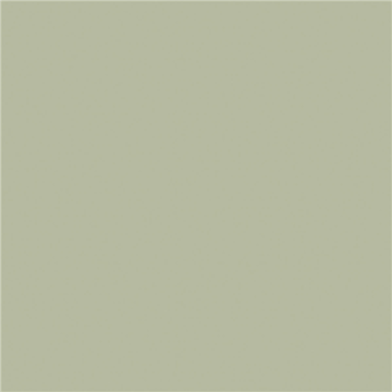 60 Serviettes Bio DUNISOFT Pistache 40 x 40 cm